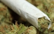 На Сумщине чиновника поймали "на горячем" при продаже 1,5 кг марихуаны