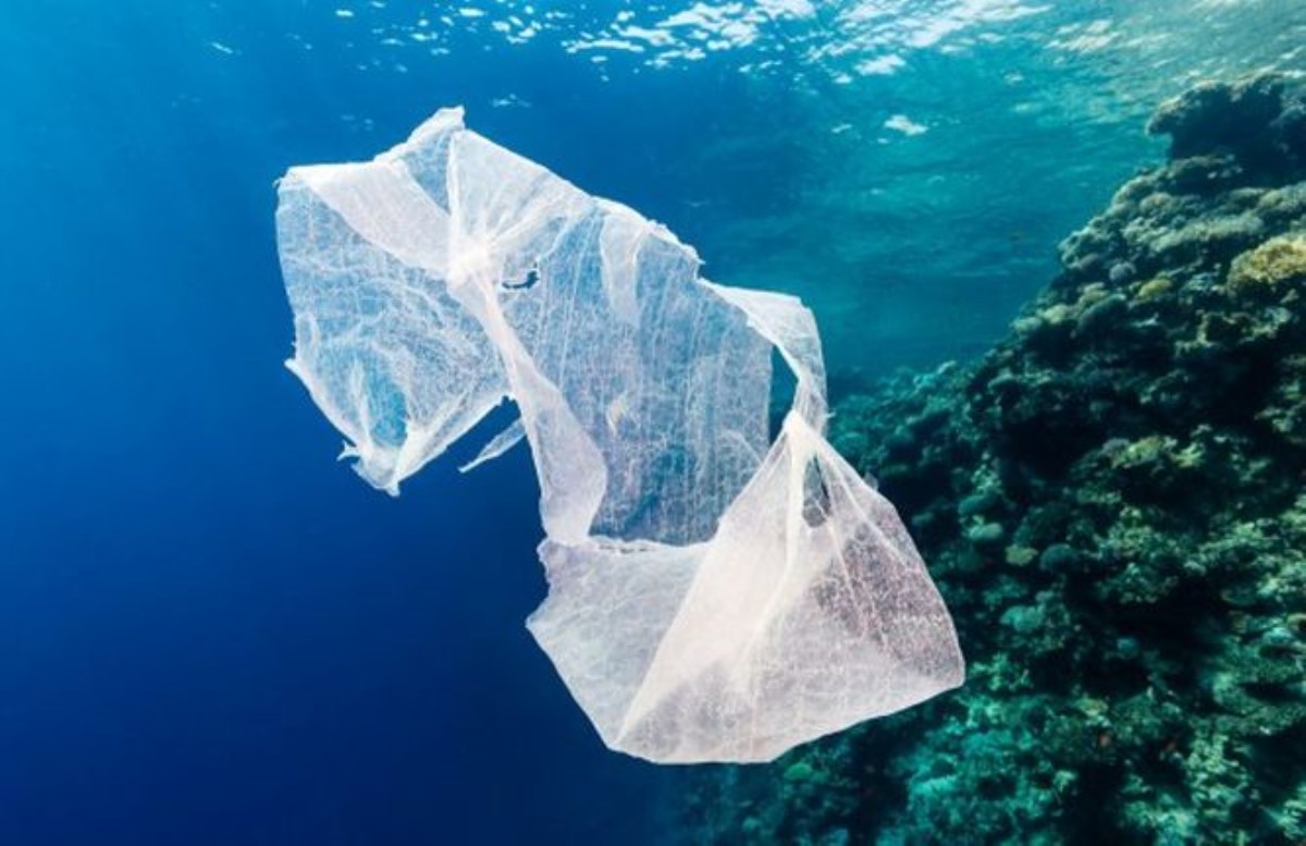 Ученым удалось создать экологически разлагаемый пластик