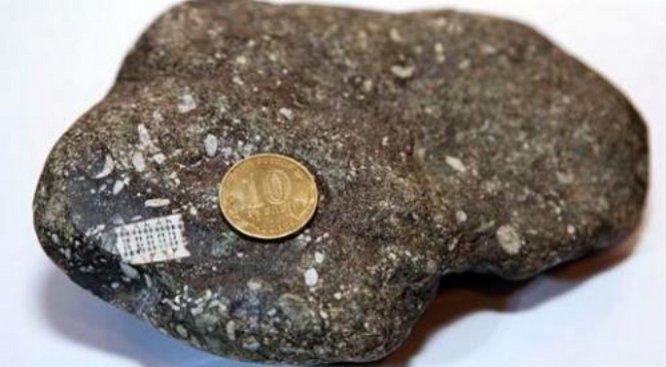 Ученые не могут понять, как микрочип оказался в камне, которому 250 млн лет