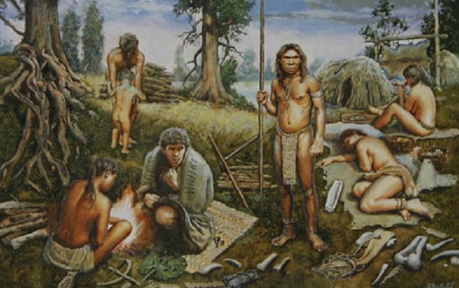 Первые европейцы занимались людоедством - палеонтологи