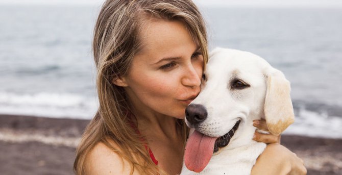 Ученые сравнили дружбу человека и собаки с любовью матери и ребенка