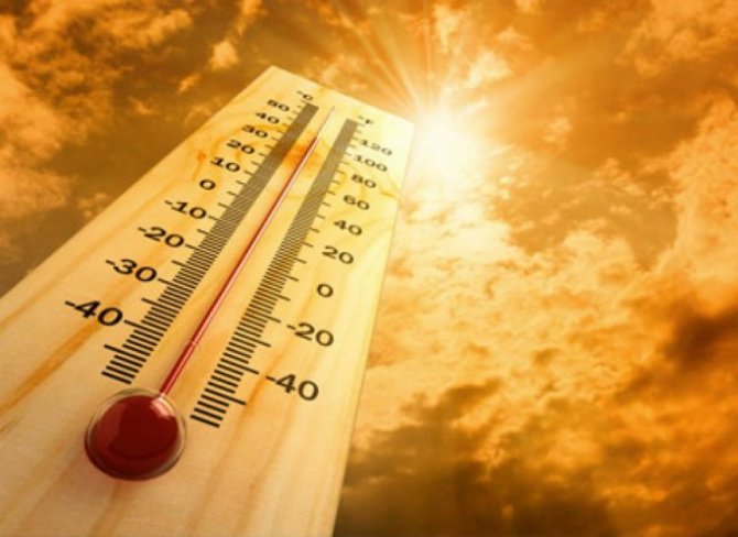 Гидрометцентр спрогнозировал жаркое лето в Украине