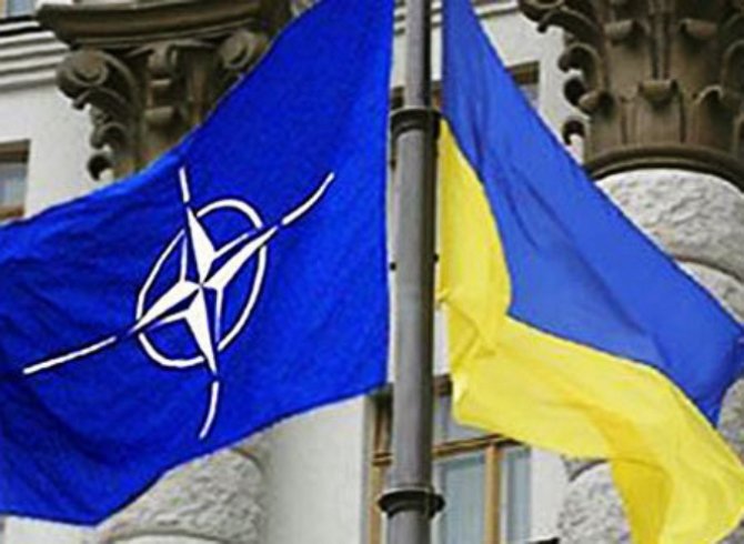 Более половины граждан стран НАТО поддерживают вступление Украины в альянс