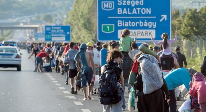 За день в Венгрии задержали более 9 тыс. беженцев