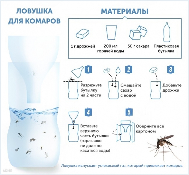 10 способов избавиться от комаров