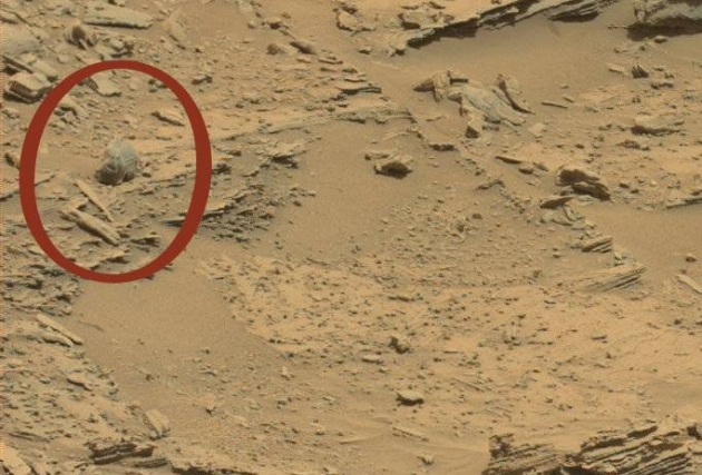Уфологи увидели на Марсе "череп инопланетянина"