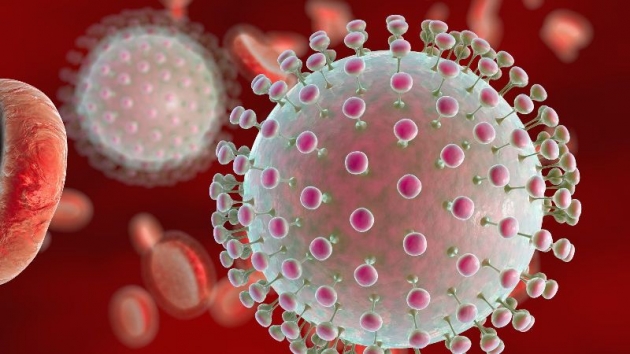 Эпидемию вируса Зика остановить невозможно - ученые
