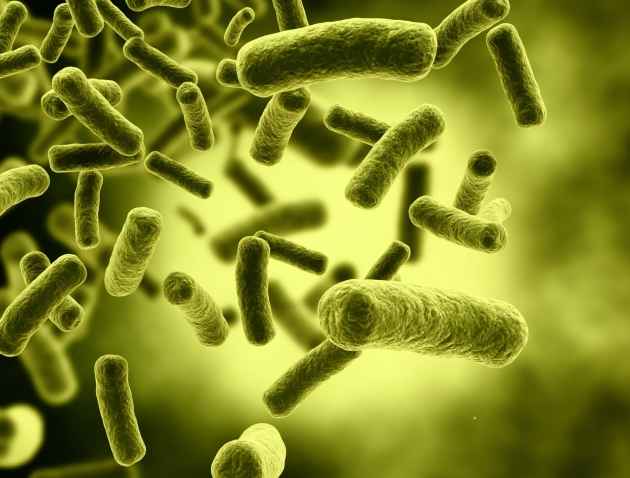 Невосприимчивая к медикаментам бактерия найдена в США