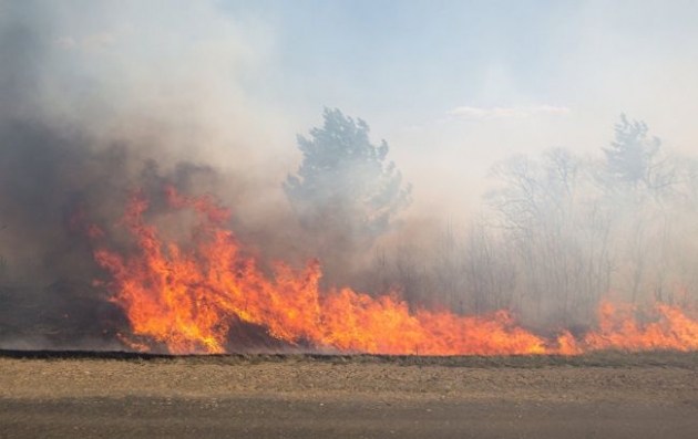Синоптики предупредили о чрезвычайном уровне пожарной опасности