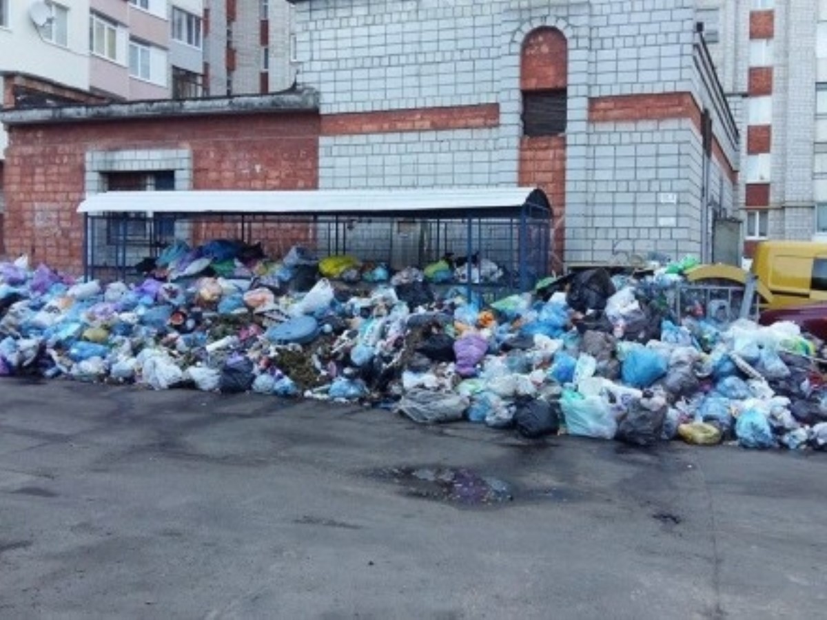 В Украине хотят сажать за мусор