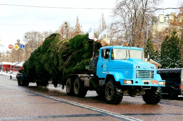 Киевляне требуют заменить главную елку искусственной