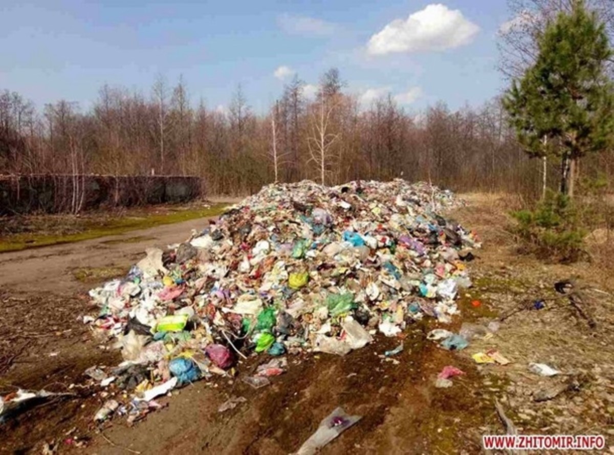 Львовский мусор высыпали в Житомирской области прямо на дорогу