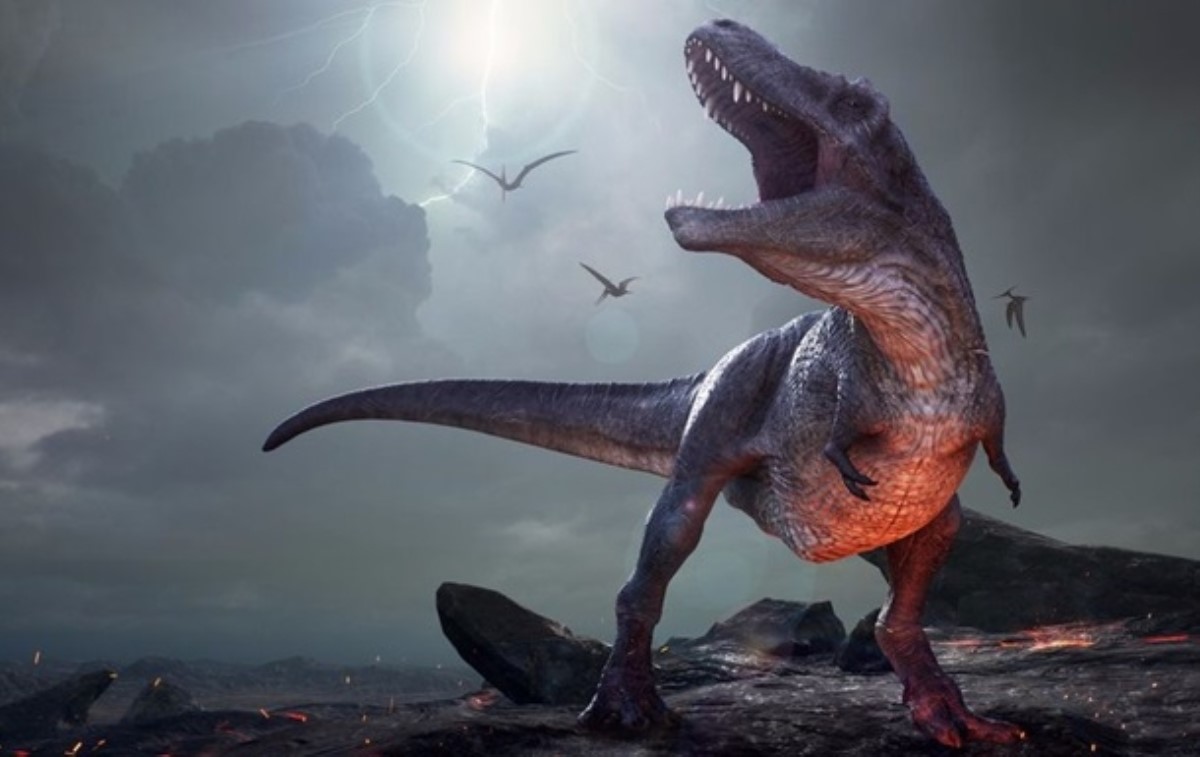 Ученые обнаружили новый вид тираннозавров
