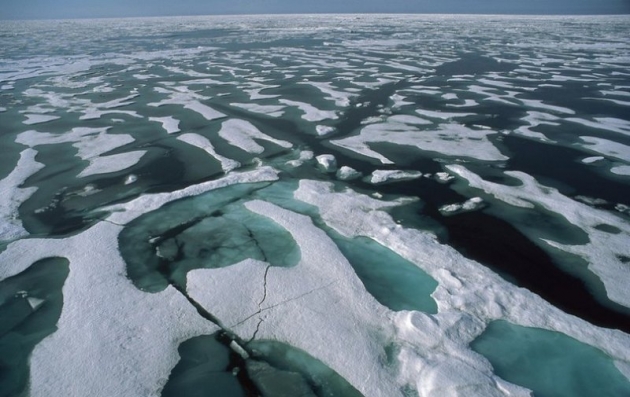 Ученые узнали, из-за чего зеленеет лед в Арктике