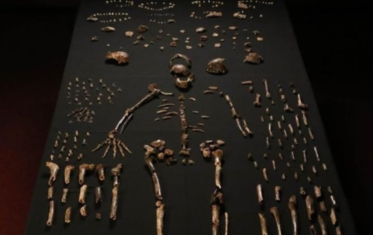 Первые представители рода людей оказались моложе, чем считали ученые