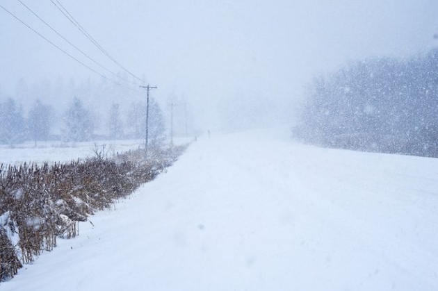 В Украину пришли снегопады