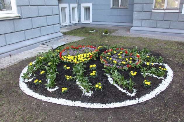 Странные цветочные композиции замечены на клумбах Киева