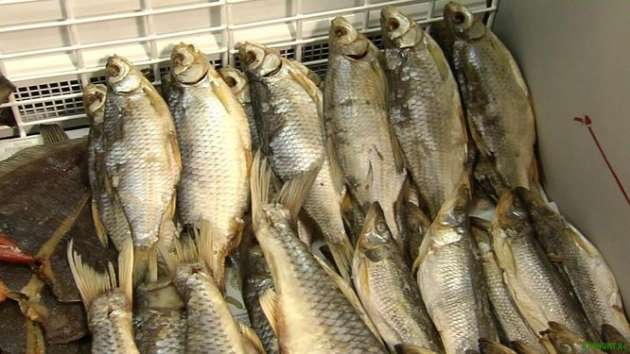 Во Львове – вспышка ботулизма: из супермаркетов изымают рыбу