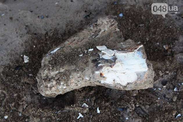 Под Одессой нашли останки мамонта
