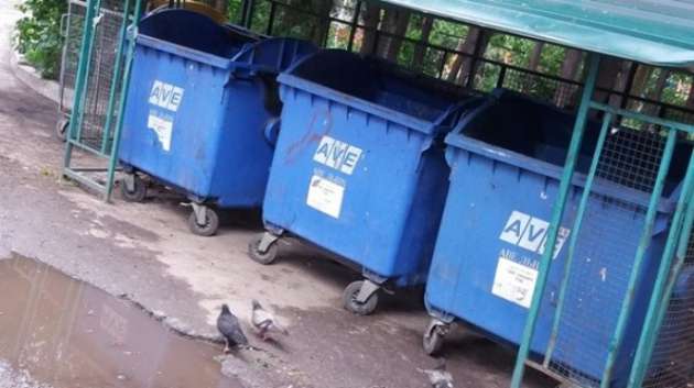 Львов на 70% очистили от мусора