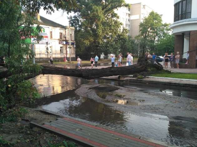 Деревья падали на автомобили: Черкассы накрыл ураган