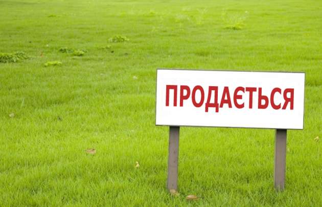 Украинцам могут разрешить покупку до 1 тыс. га при запуске рынка земли