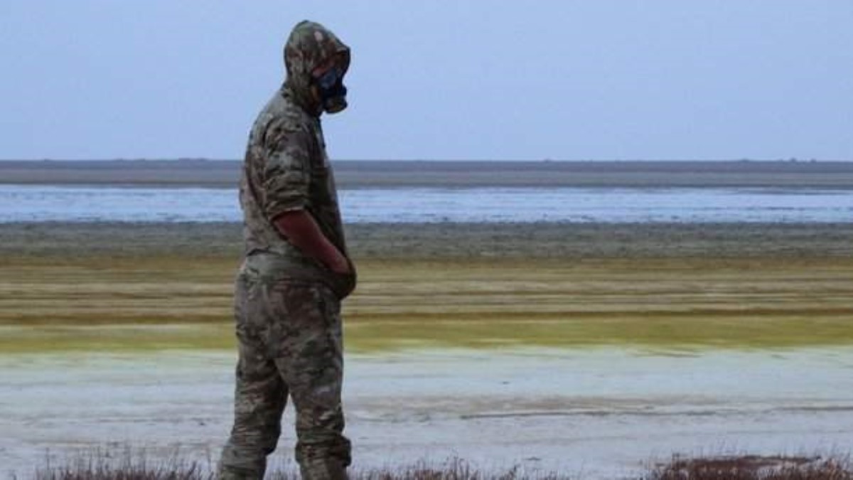 Профессионалы назвали причину экологической катастрофы в аннексированном Крыму