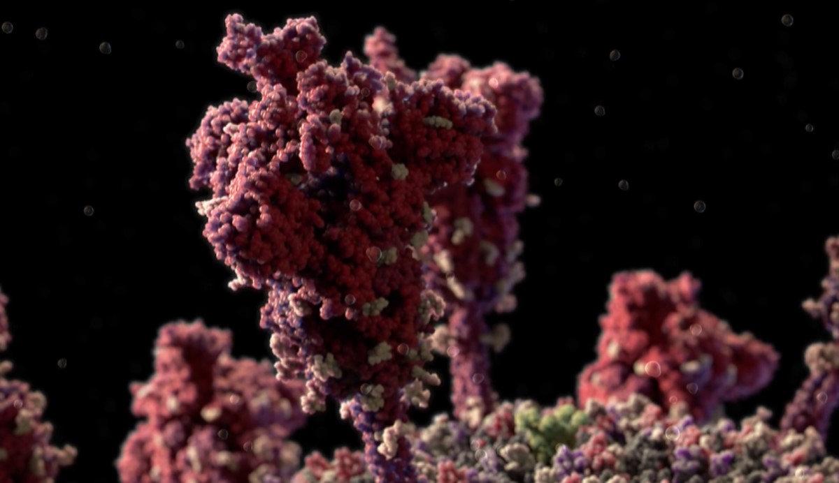 Похожа на раковую опухоль: американские ученые изучили структуру коронавируса