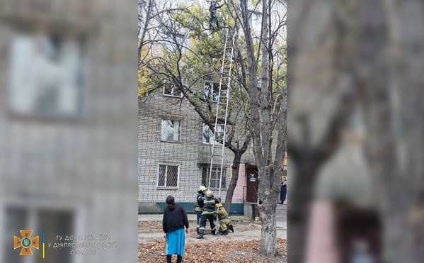 Беременную женщину сняли с дерева на Днепропетровщине