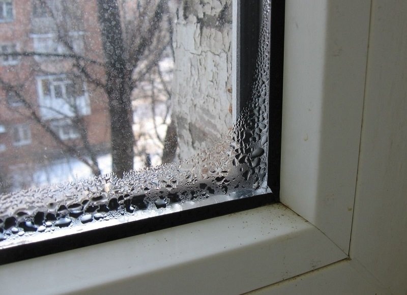 Потеют и плачут: как быстро избавиться от конденсата на окнах