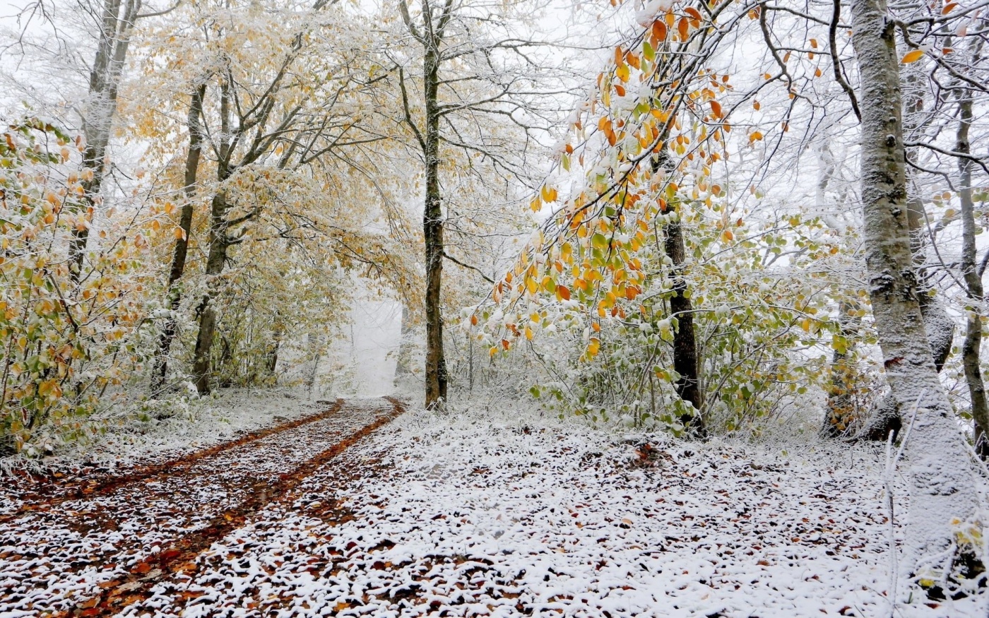 Погода в ноябре: не обойдется без сюрпризов и снега