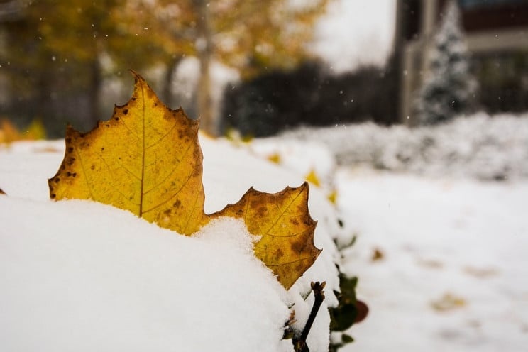 В Украине на этой неделе прогнозируют снег: какие регионы накроет непогода