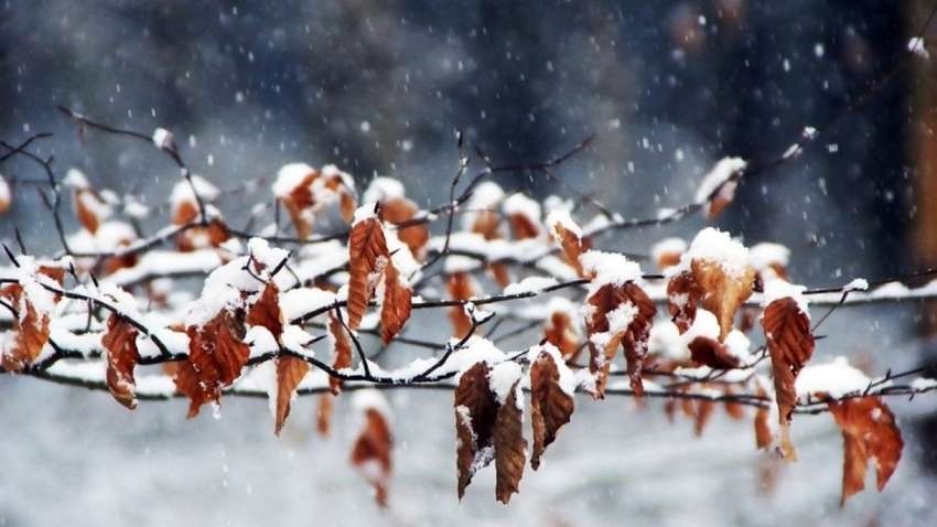 В Украине объявили I уровень опасности: надвигается холодный воздух и снег