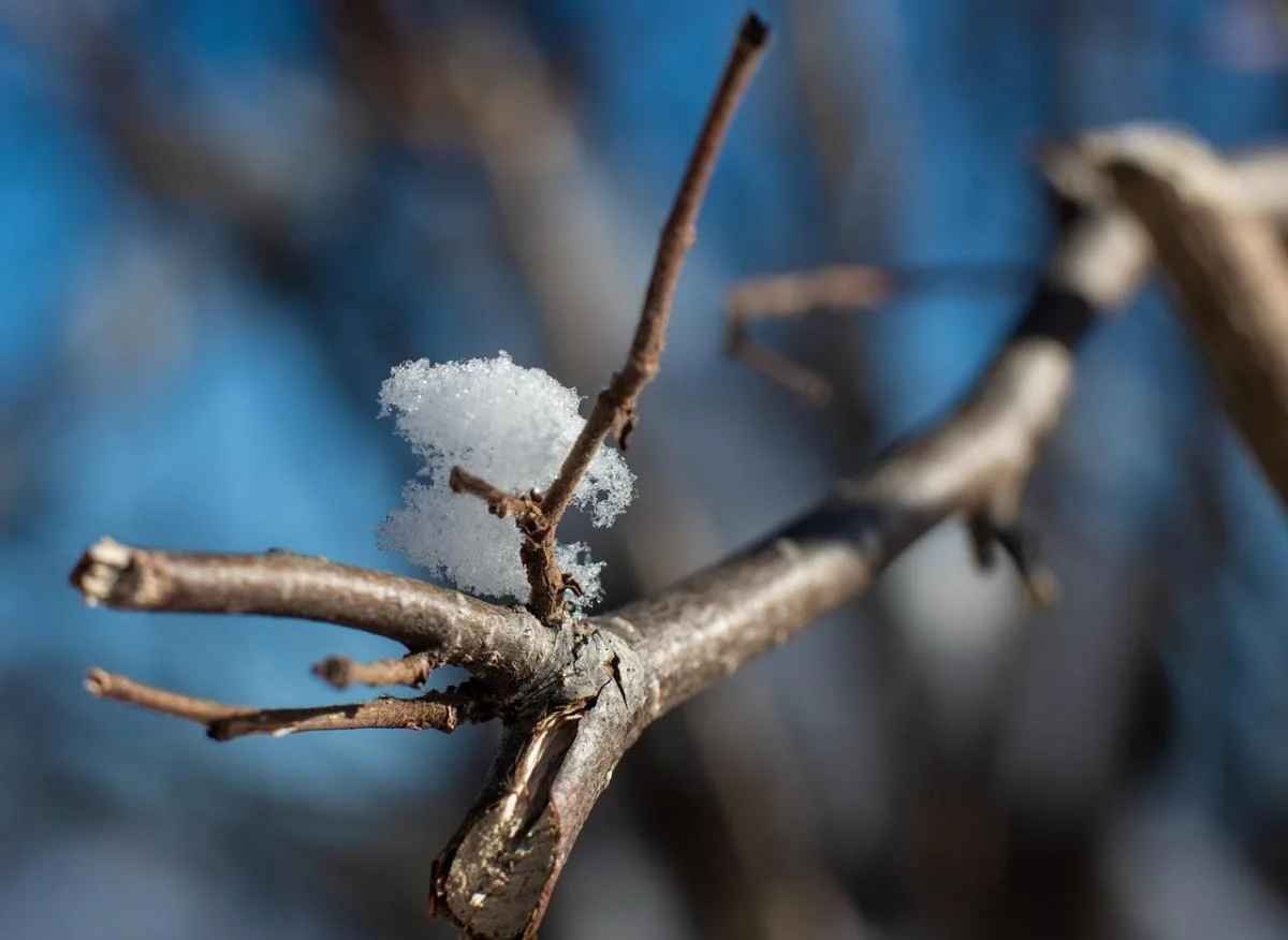 Снег, но не везде: озвучен прогноз погоды в Украине на завтра
