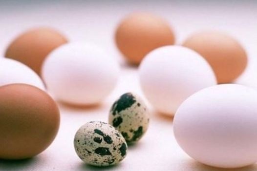 Сколько времени и как варить перепелиные яйца, чтобы лучше чистились: хозяйки поделились советом