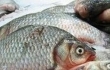 Жителям Запорожья продавали «якобы живую рыбу»