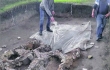 Украинские археологи сделали неожиданное открытие