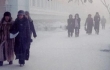 Народный синоптик: Заморозки в ближайшие пять дней не ожидаются