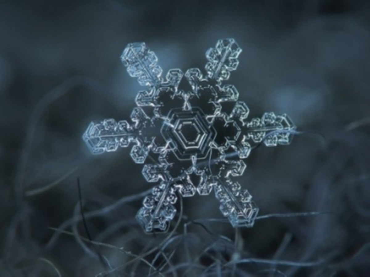 Уникальное творение природы - снежинка