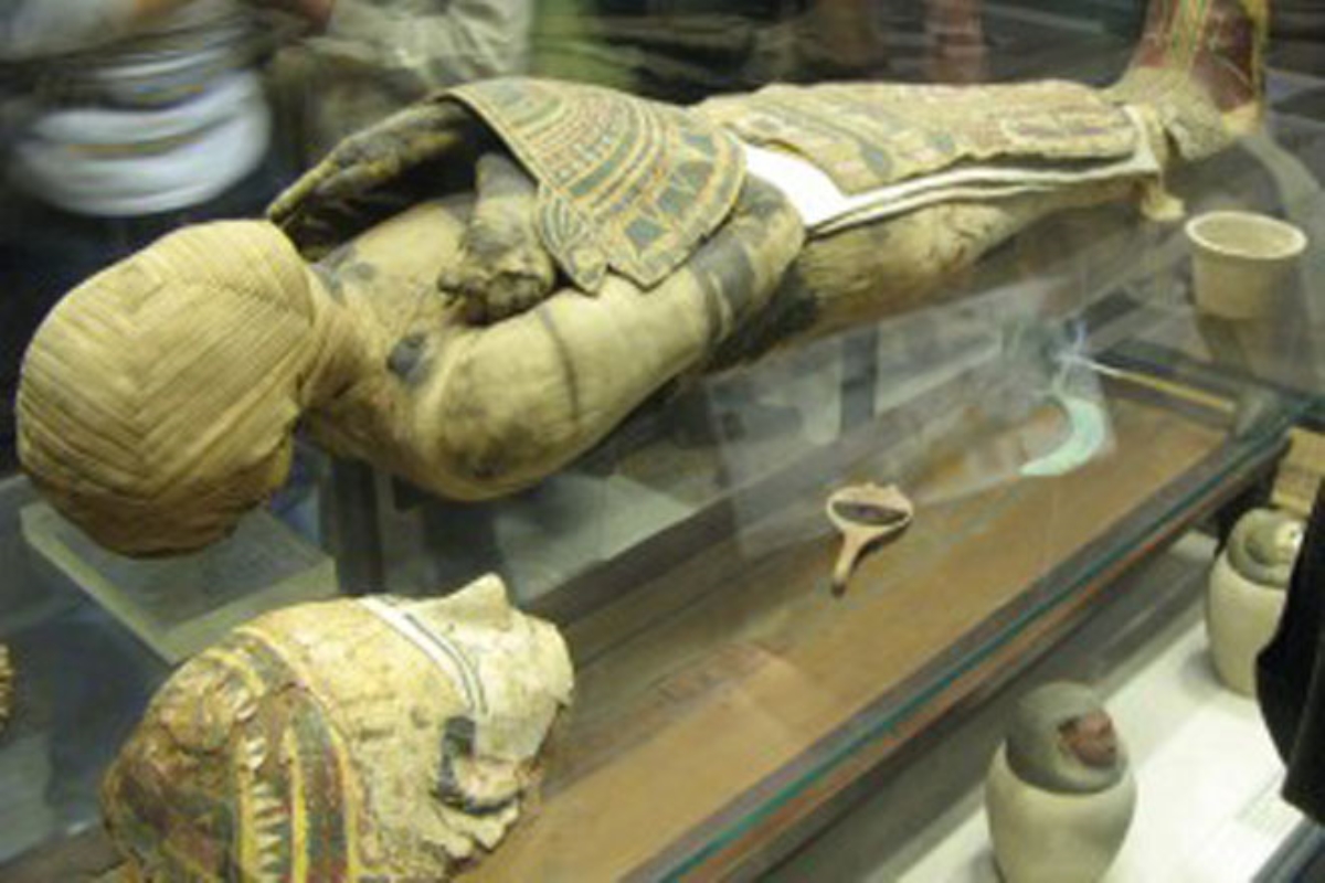Ученики нашли мумию возрастом 7 тыс. лет