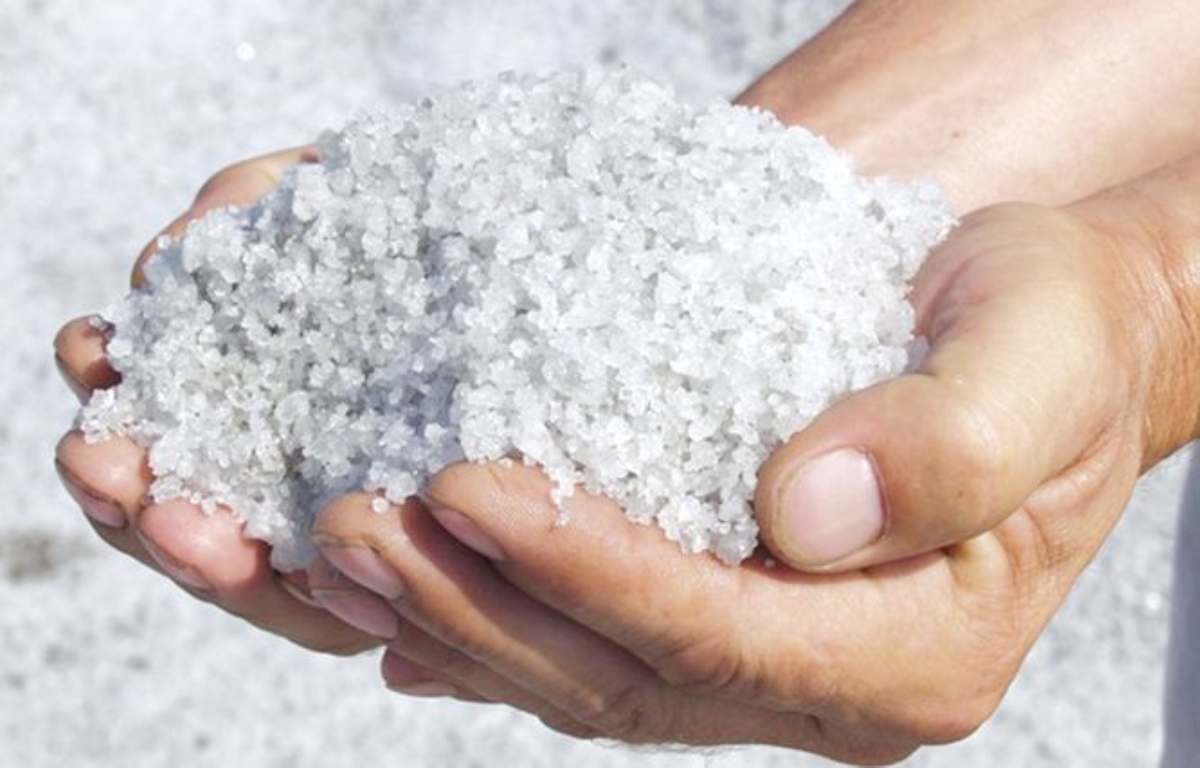 Одесская область может обеспечить солью всю Украину