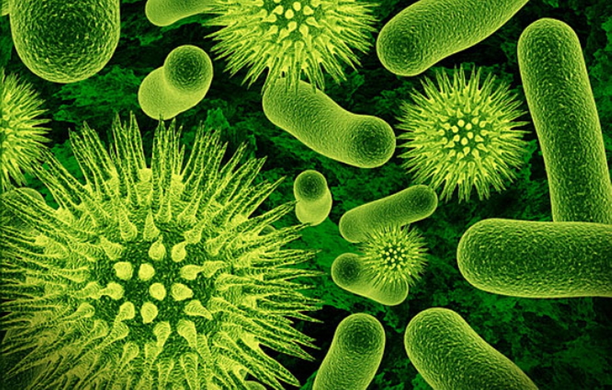 Микробы научились спасаться от антибиотиков, впадая в "спячку"