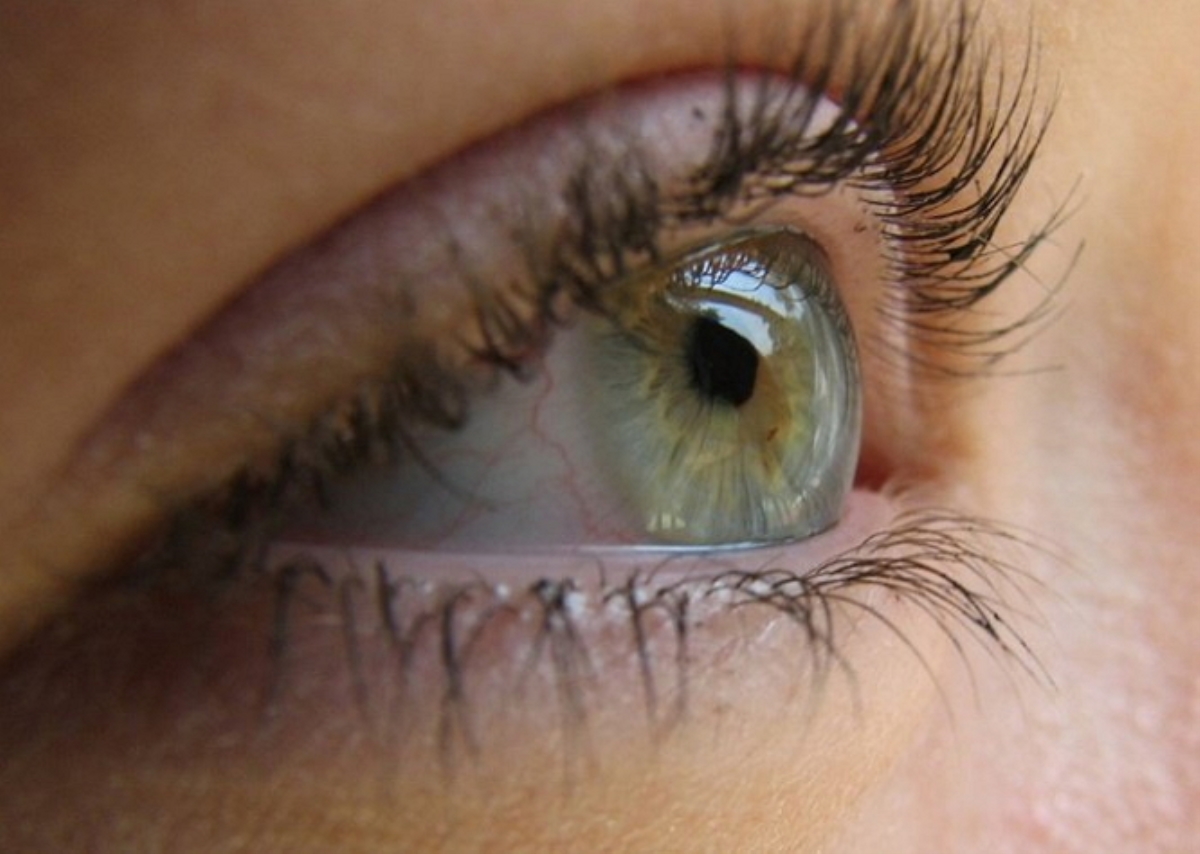 Ученые вырастили искусственную роговицу глаза