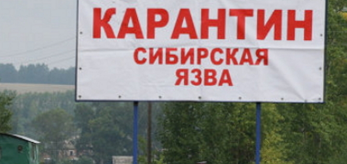 На границе с Украиной обнаружена сибирская язва