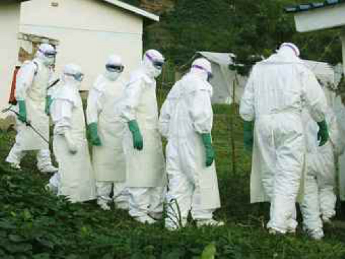 Вакцина против лихорадки Эбола будет испытана на человеке уже осенью