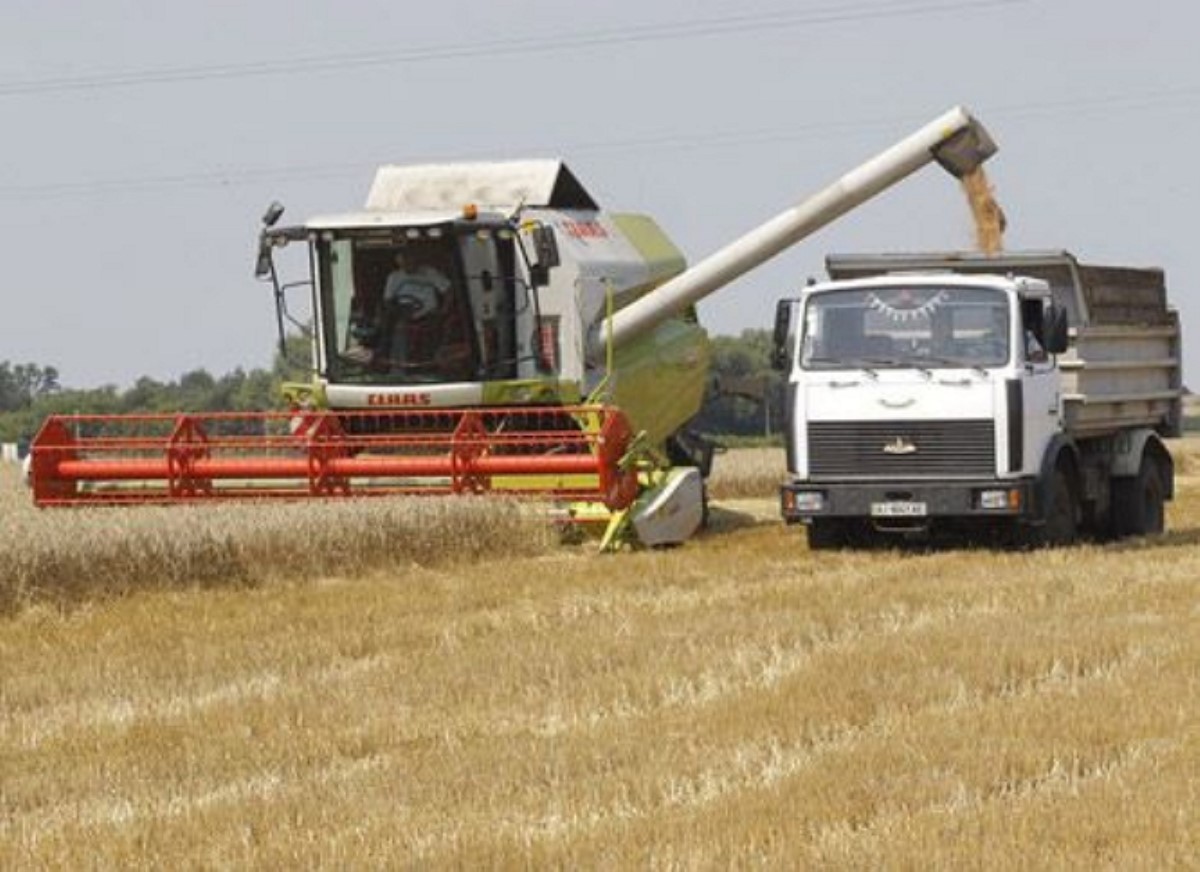 Украина соберет рекордный урожай озимой пшеницы