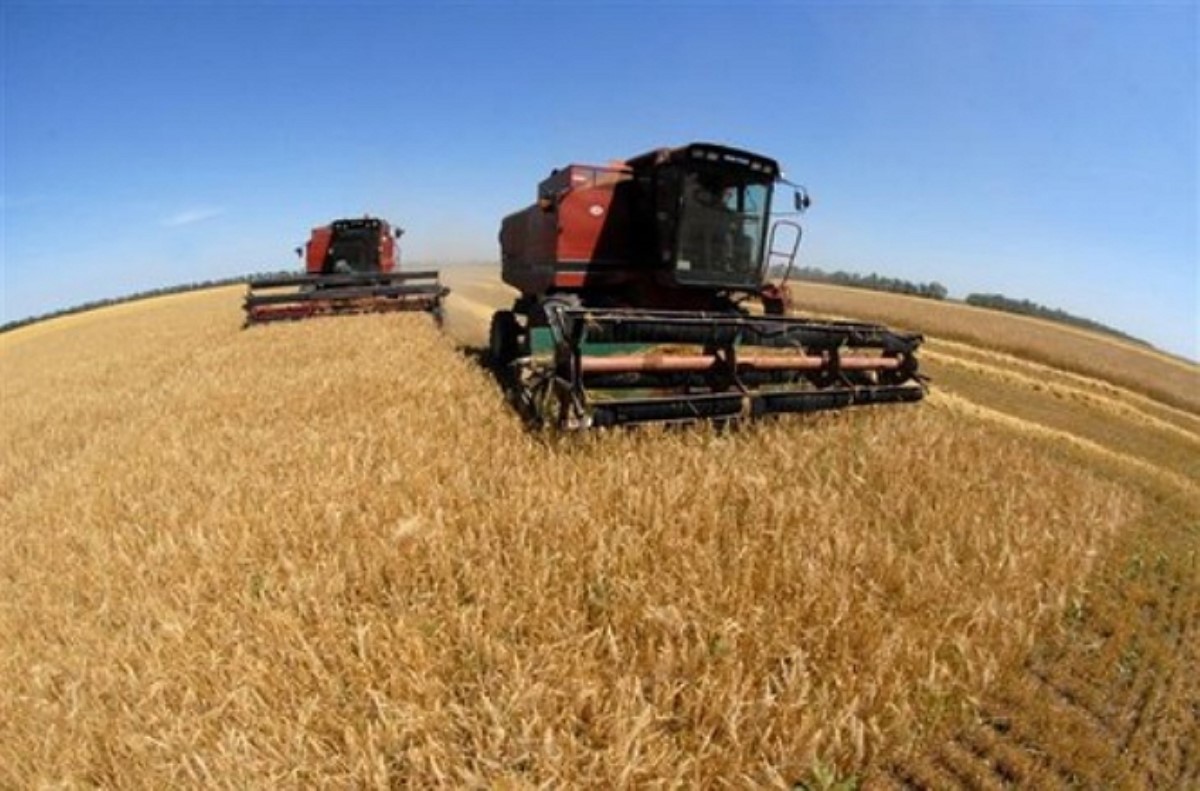 Украина потеряла 15% урожая из-за событий на Донбассе и в Крыму