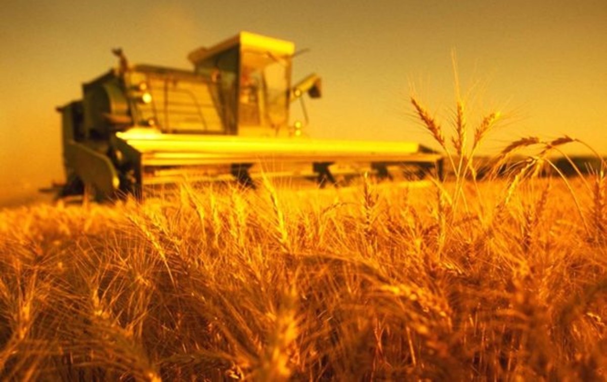 Только за неделю Украина экспортировала более миллиона тонн зерна