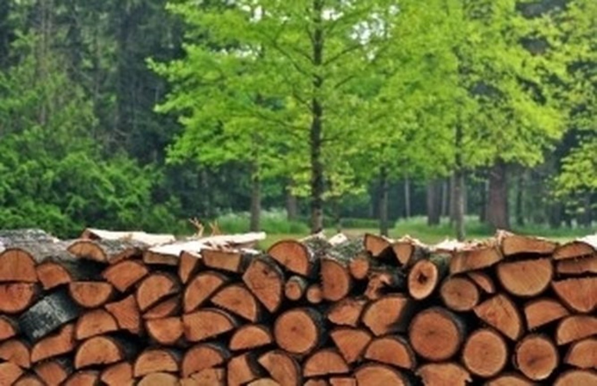 Губернатор Херсонской области велел чиновникам запасаться дровами