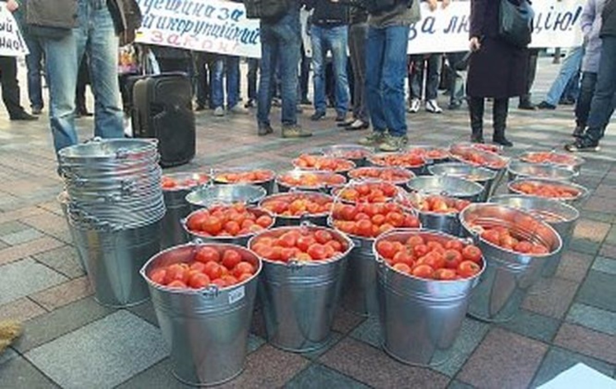 Активисты решили, что гнилые помидоры стимулируют работу депутатов